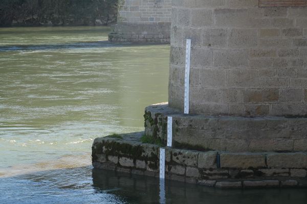 En Occitanie, une cinquantaine de règles ont été fixées sur les rives de fleuves, rivières, lacs de plaine et de montagne, afin d'inciter les citoyens à faire des relevés réguliers.