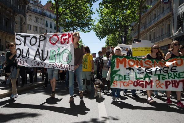 Des manifestations contre Monsanto sont organisées dans le monde entier samedi 18 mai et notamment à Blois, Bourges et Tours. Photo d'illustration.