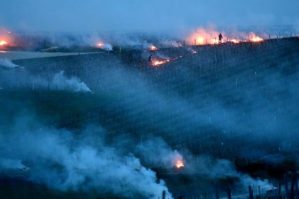 Le 14 avril 2019, une première opération de protection du vignoble jurassien avait été menée avec succès. Des bottes de paille enflammées avaient éviter la destruction par le gel.