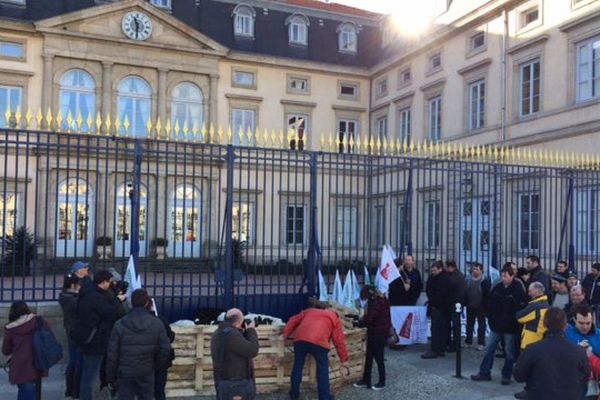 Des agriculteurs en colère contre les conséquences de la FCO sont venus manifester avec leurs petits veaux devant la préfecture de Haute-Loire.
Photo : G. Rivollier, France 3 Auvergne