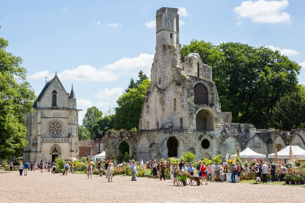 Journées de la rose au Domaine de Chaalis du 11 au 13 juin 2021