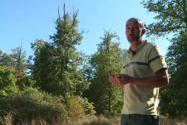 Pour Guillaume Fraces, le dépérissement des arbres ne se voit pas immédiatement, il intervient au bout de quelques années.