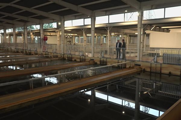 Pour sécuriser la qualité et l'approvisionnement en eau potable : la station des eaux est en pleine rénovation, le 22 octobre 2024, à Limoges.