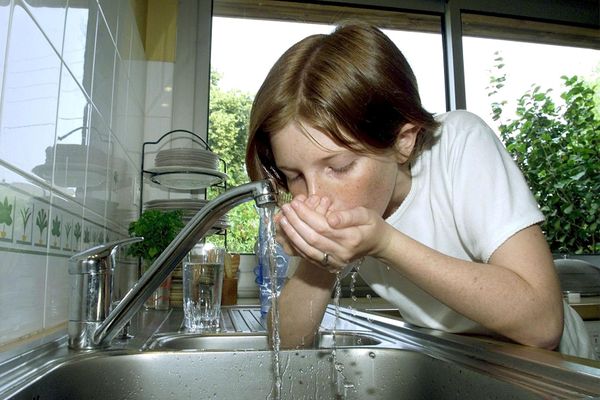 Les résidus d'un fongicide, classé cancérogène probable, interdit depuis 2020, celui du métabolite du chlorothalonil R471811, ont été détectés dans l'eau du robinet de la Vienne. Image d'illustration.