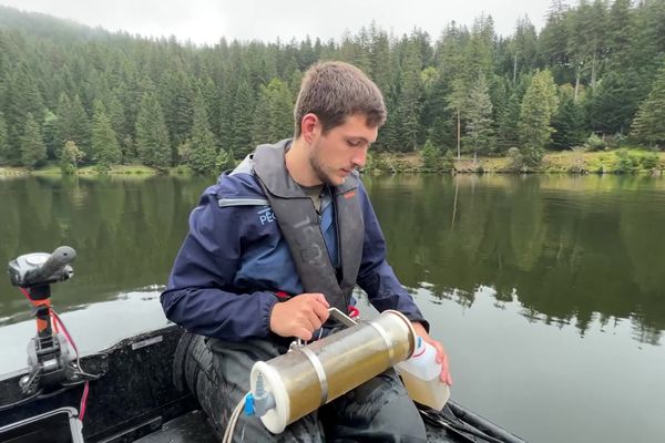 Les mesures sur quatre lacs de moyenne montagne sont réalisées par la fédération de pêche du Haut-Rhin.