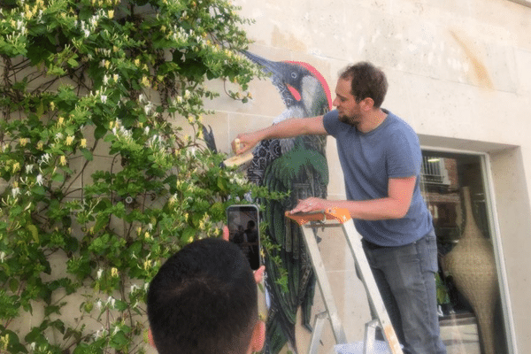 L'artiste Ardif réalisant un collage dans les rues d'Orléans.