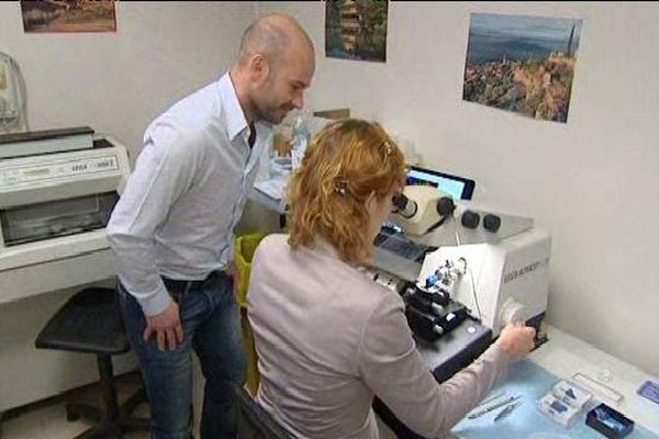 Les chercheurs de l'Inserm agrandissent 25 000 fois les cellules pour en trouver la source cancéreuse.