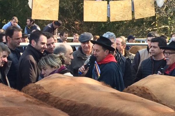 La fête du boeuf de Pâques est organisée depuis six ans à Lafeuillade-en-Vézie. Une vente aux enchères où les prix observés, ce dimanche 13 mars, étaient nettement supérieurs aux marchés classiques.