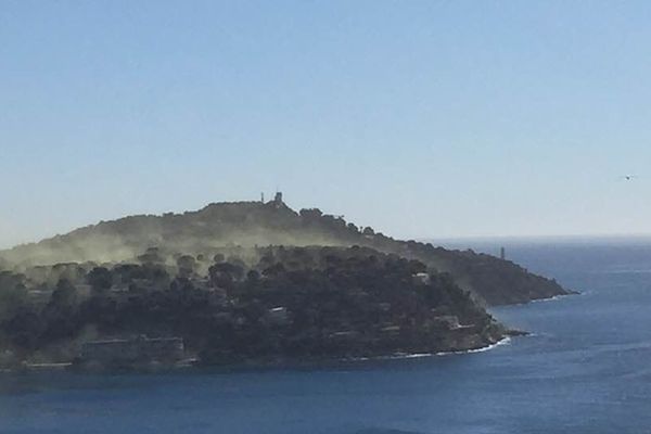 Nuage de pollens sur St Jean Cap Ferrat