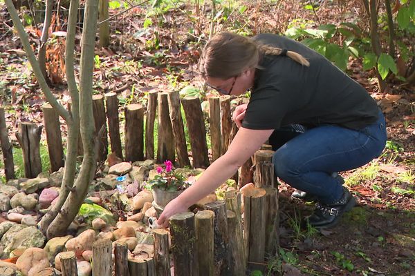 Vanessa vient chaque semaine sur la tombe d'Ebène, sa chienne décédée l'an dernier.