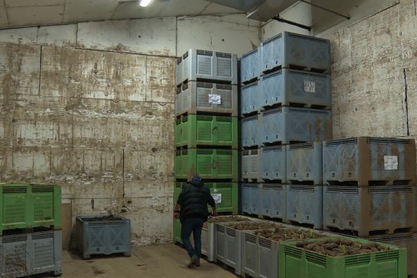 "Ça devrait être plein, mais c’est vide", se désole Patrice Rouillard, maraicher au sud de Nantes