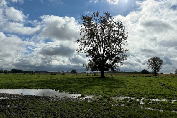 Le foin de cette parcelle de 6 hectares n'a pu être récolté.