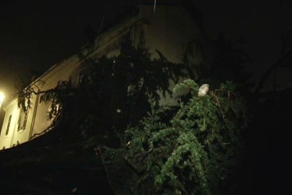 L'arbre s'est cassé en deux en heurtant la maison.