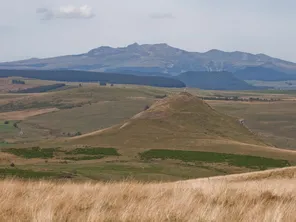 Le plateau du Cézallier en Auvergne se dévoile, avec le massif du Sancy qui se dessine en arrière-plan.