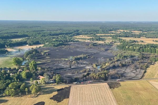 Le 12 août 2022, la sécheresse a provoqué des départs d'incendies dans le département du Loiret. 40 hectares de végétation ont été incendiés à Bouzy-la-Forêt.