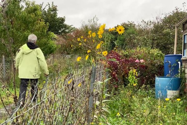 Jardin ouvrier à La Riche en Indre-et-Loire