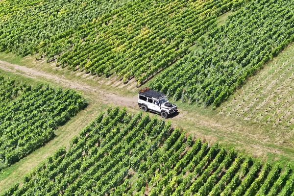 Suivez Layla Landry sur les chemins de la route touristique du champagne.