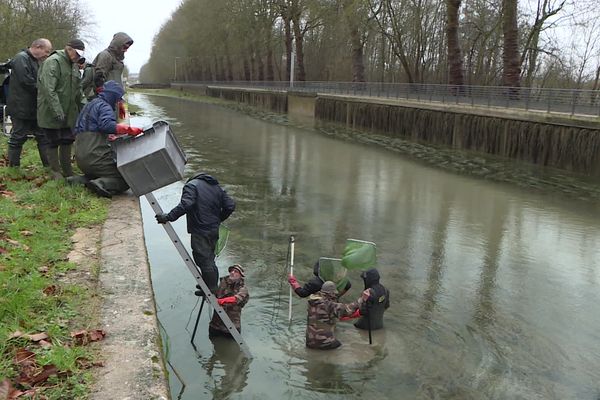 500 kilogrammes de poissons ont été pêchés dans le cadre de cette opération de sauvetage.