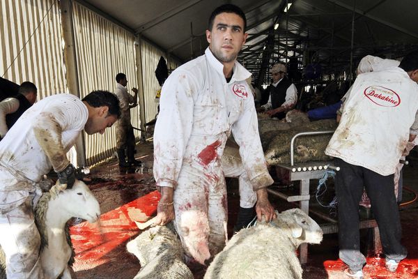 Les sacrifices doivent impérativement avoir lieu dans des abattoirs agréés rappellent les services de l'Etat.