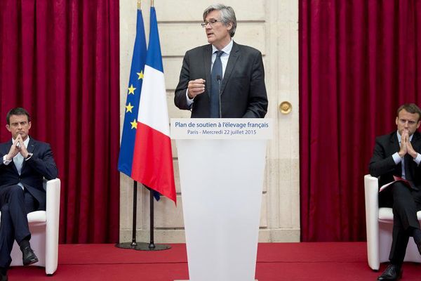 Le ministre de l'Agriculture Stéphane Le Foll lors de la présentation du plan d'urgence pour les éleveurs, le 22 juillet 2015 à l'Elysée, à Paris.  ( REUTERS)