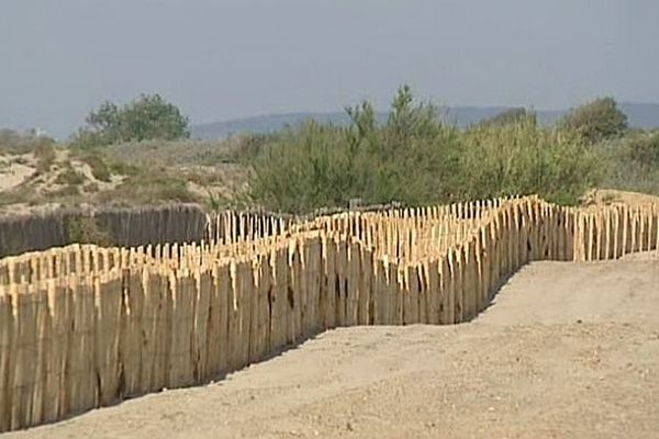 Carnon-La Grande-Motte (Hérault) - le cordon dunaire se reforme autour du lido - 27 juin 2014.