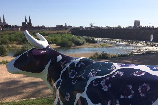 La Boîte à Meuh ? L'élevage des vaches sur  - Eureden FR