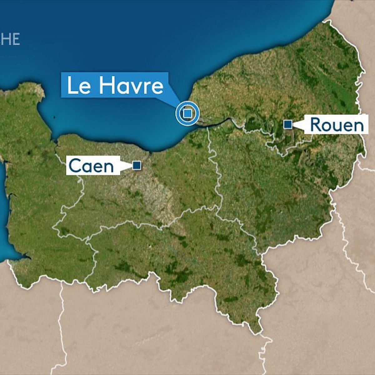 Les Agresseurs De Deux Benevoles De La Spa Du Havre Volent Un Chien