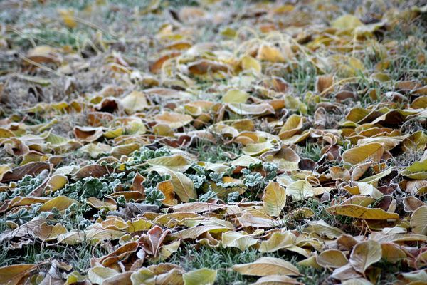 réveil frisquet ce samedi