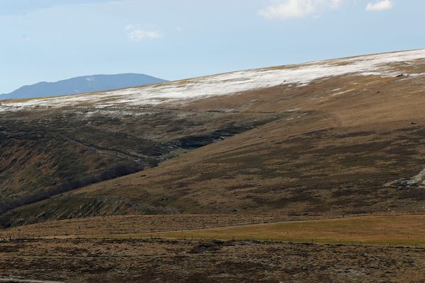 L'hiver 2019-2020 a été particulièrement chaud en Lorraine. En plaine comme sur les reliefs.