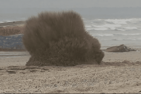 Les démineurs de la Marine Nationale ont fait exploser plusieurs obus ce jeudi sur la plage de Kermabec, à Tréguennec (29). 