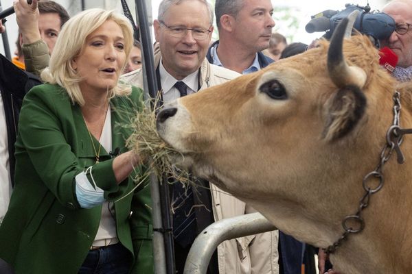 Marine Le Pen, candidate du Rassemblement national, était ce jeudi 7 octobre au Sommet de l'Elevage de Clermont-Ferrand.