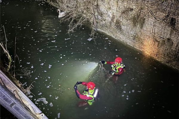 Deux pompiers de la Marne au secours d'un cygne piégé dans une écluse.