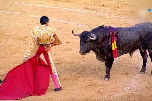 Huesca, 11 août 2019. Emilio de Justo face à "Aviador" de Adolfo Martín.