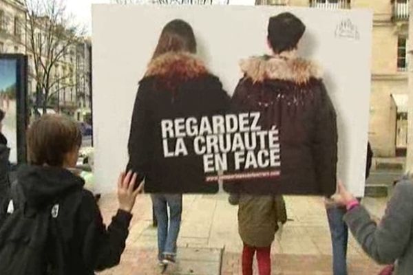 Les manifestants dans les rues de Bordeaux (12/03/13)