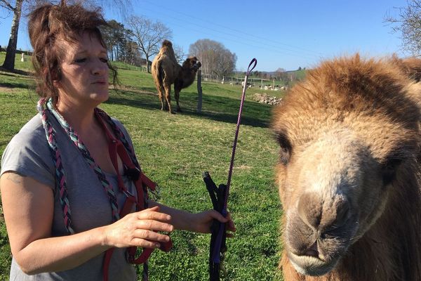 Près de Maurs, Cathy a choisi de vivre et de partager sa passion pour les animaux atypiques.