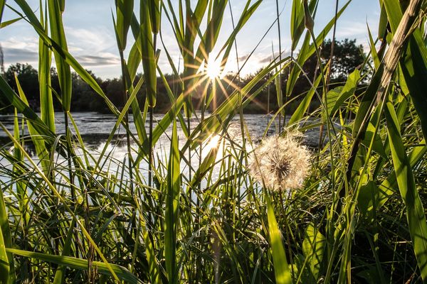 Retour timide du soleil