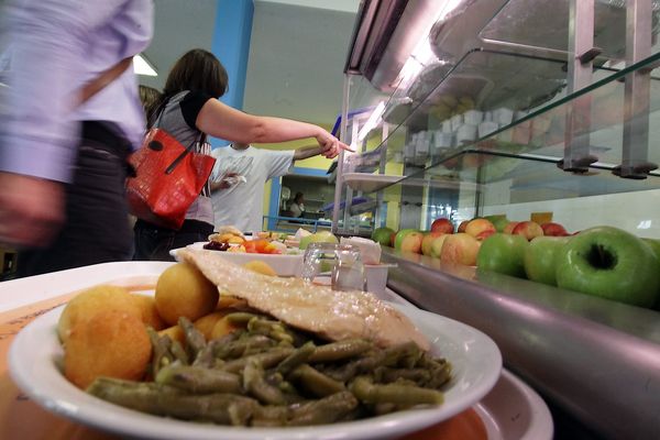 Les cantines scolaires s'organisent pour éviter le gaspillage alimentaire