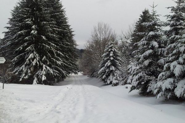 Le Mont Bessou, le plus haut sommet de Corrèze, recouvert d'un manteau neigeux