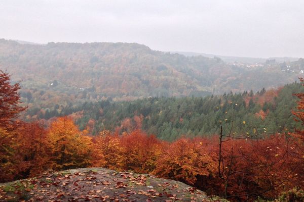 Le sentier du Loosthal