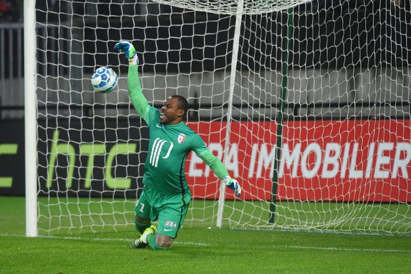 Le "Chat" Vincent Enyeama, portier du LOSC.