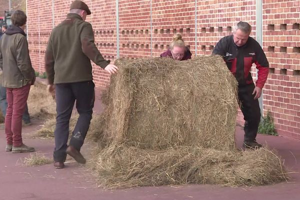 Des agriculteurs ont étalé de la paille devant l'agence de l'eau de Rouen (Seine-Maritime), mardi 26 novembre 2024.