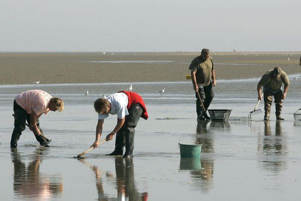 Le secteur de la pêche emploie 968 personnes dans les Hauts-de-France