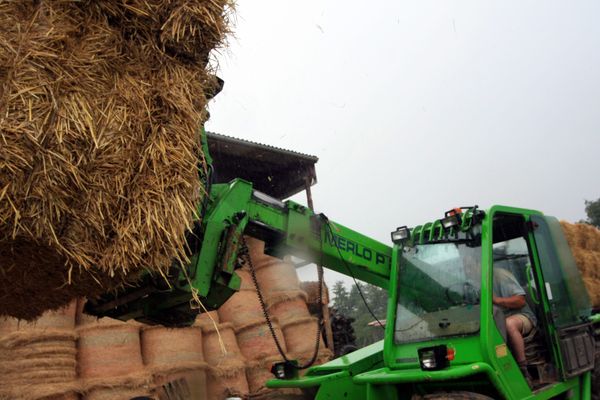 En 2011 déjà, les agriculteurs avaient dû faire appel à la solidarité pour récupérer de la paille, ici dans la Marne 