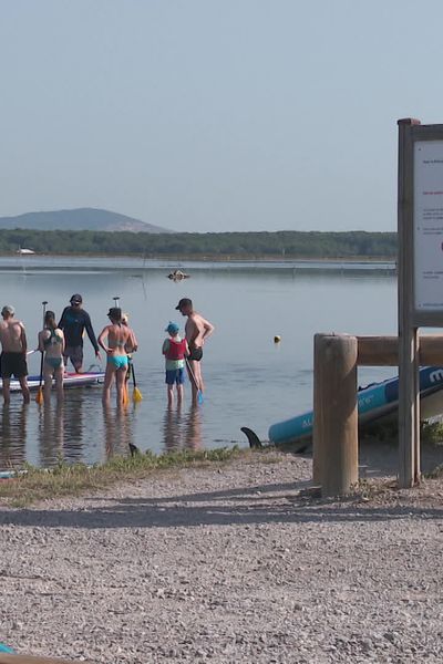 Un pêcheur a été condamné à de la prison pour avoir foncé avec son bateau sur des véliplanchistes, à Frontignan dans l'Hérault.