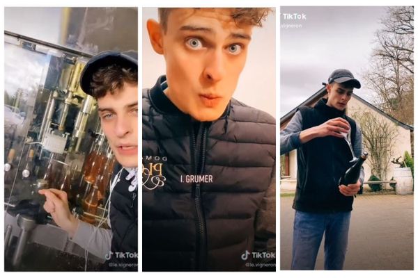 Emile Coddens est devenu "le" vigneron de Tiktok avec plus de 300 000 abonnés