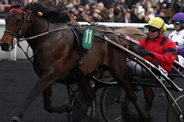 Le trotteur normand Bold Eagle au Grand prix de Paris en février 2016