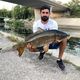 Florin et sa carpe de 7 kilos, pêchée en pleine ville, au bord du Lez, à Montpellier. Ce joli spécimen de poisson d'eau douce a retrouvé son milieu naturel, peu de temps après avoir posé pour la photo.