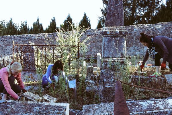 Trois étudiantes étrangères nettoient les tombes à Melle.