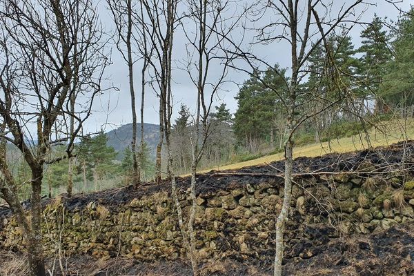 A Lafarre, en Haute-Loire, un écobuage sur son terrain a coûté la vie à un homme de 66 ans le lundi 24 février. 