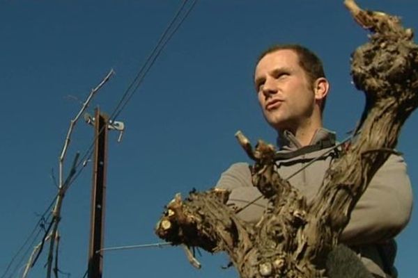 Le marché du vin en bonne santé. Nicolas Michel, viticulteur.